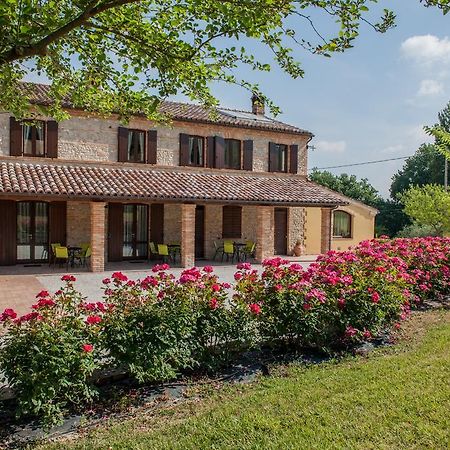 Agriturismo La Vecchia Fonte Castelbellino Kültér fotó
