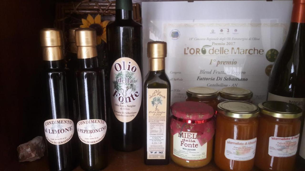Agriturismo La Vecchia Fonte Castelbellino Kültér fotó