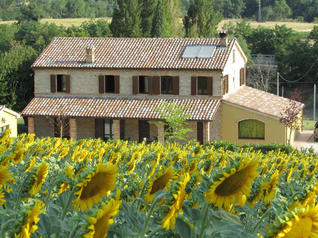 Agriturismo La Vecchia Fonte Vendégház Castelbellino Kültér fotó