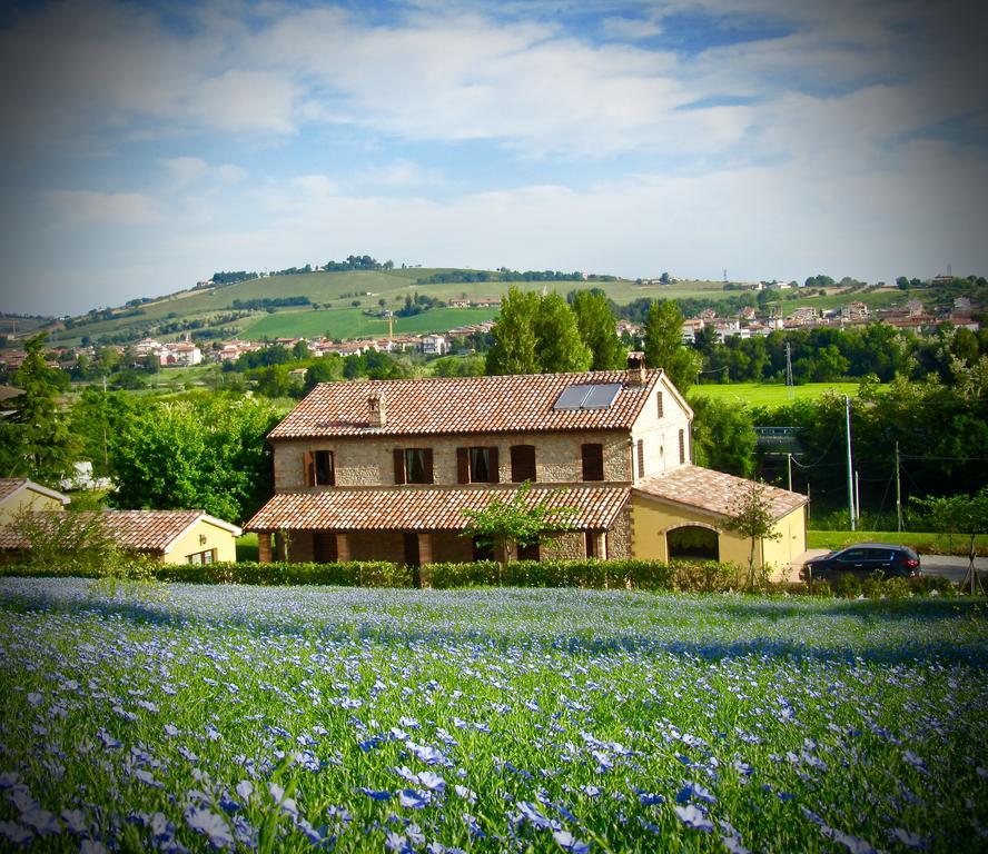 Agriturismo La Vecchia Fonte Castelbellino Kültér fotó